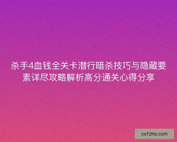 杀手4血钱全关卡潜行暗杀技巧与隐藏要素详尽攻略解析高分通关心得分享