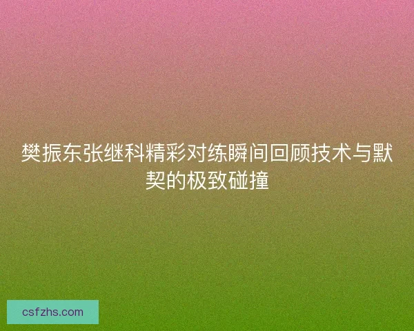 樊振东张继科精彩对练瞬间回顾技术与默契的极致碰撞