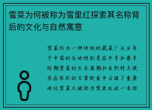 雪菜为何被称为雪里红探索其名称背后的文化与自然寓意 雪菜为何被称为雪里红探索其名称背后的文化与自然寓意